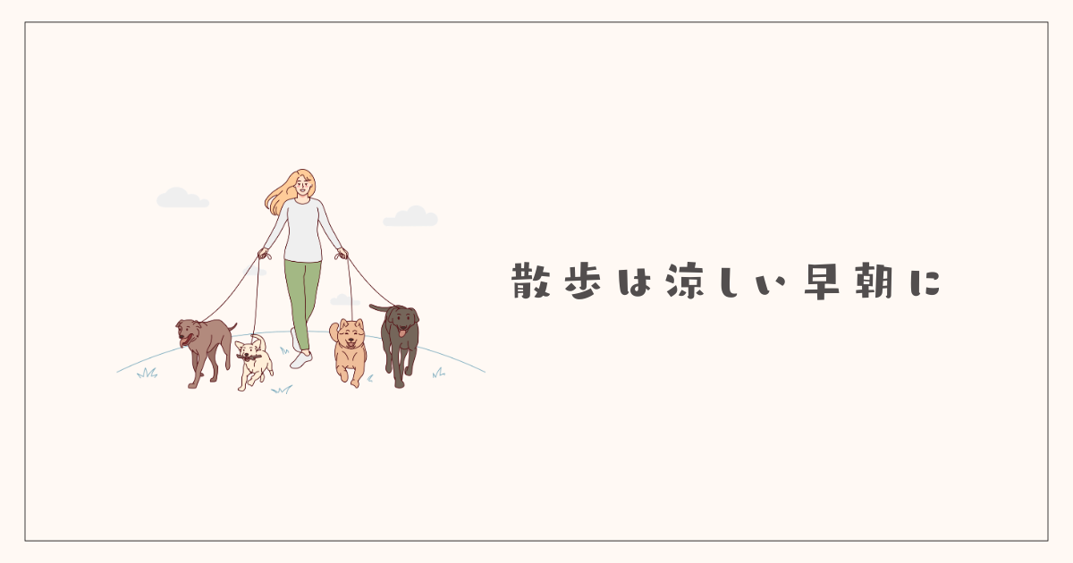 夏の散歩は涼しい早朝に