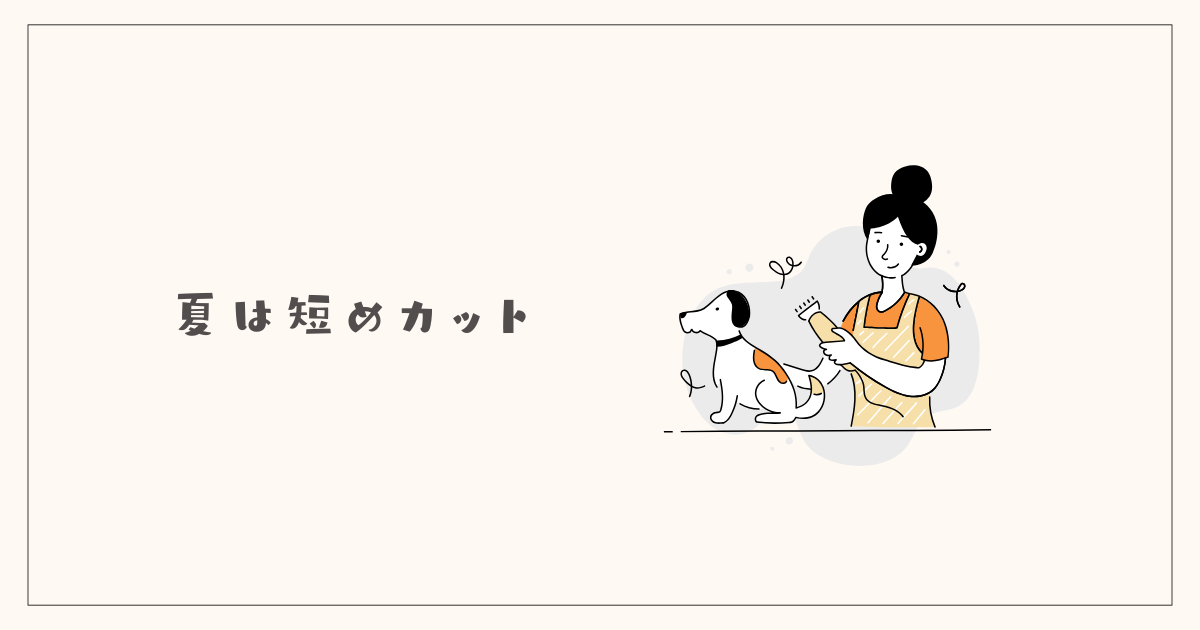 夏は少し短めにカット