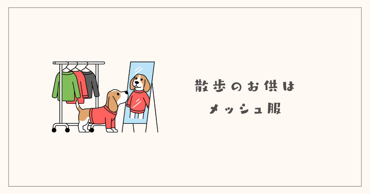 散歩のお供はメッシュ服